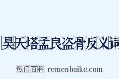 昊天塔孟良盗骨反义词是什么意思的图片